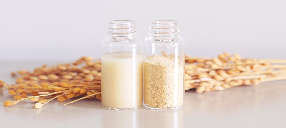 発酵ライスブラン